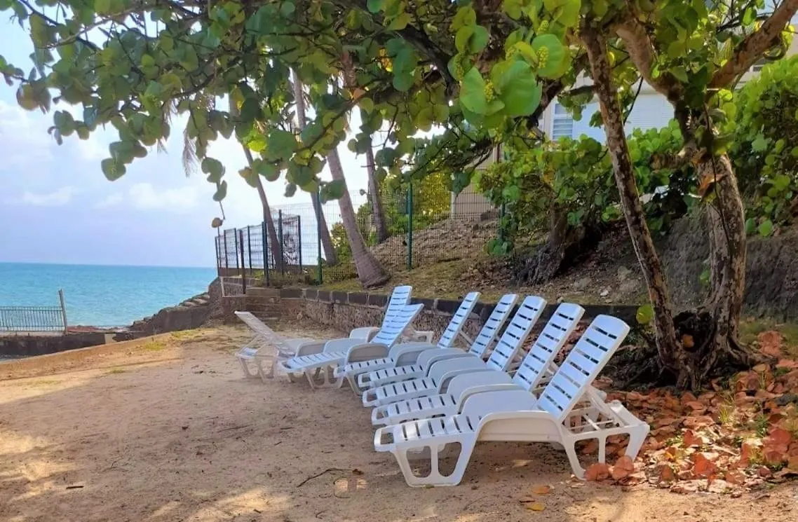Ilet Bleu Studio Cosy Rdc Vue Mer Et Jardin - Acces Direct Plage Le Gosier  Appartement Le Gosier (Grande-Terre)