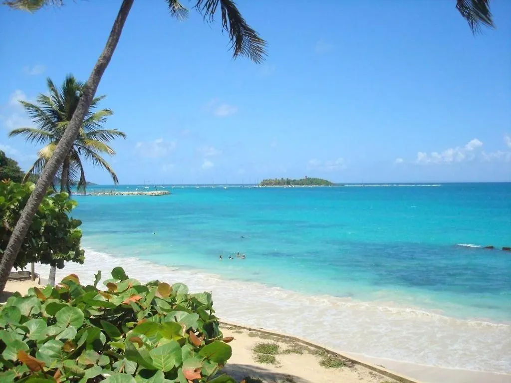 Ilet Bleu Studio Cosy Rdc Vue Mer Et Jardin - Acces Direct Plage Le Gosier  Le Gosier (Grande-Terre)