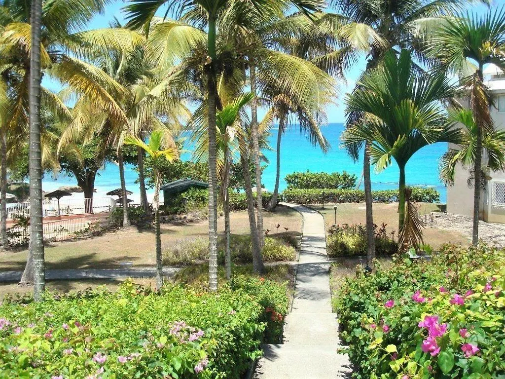 Appartement Ilet Bleu Studio Cosy Rdc Vue Mer Et Jardin - Acces Direct Plage Le Gosier  Guadeloupe