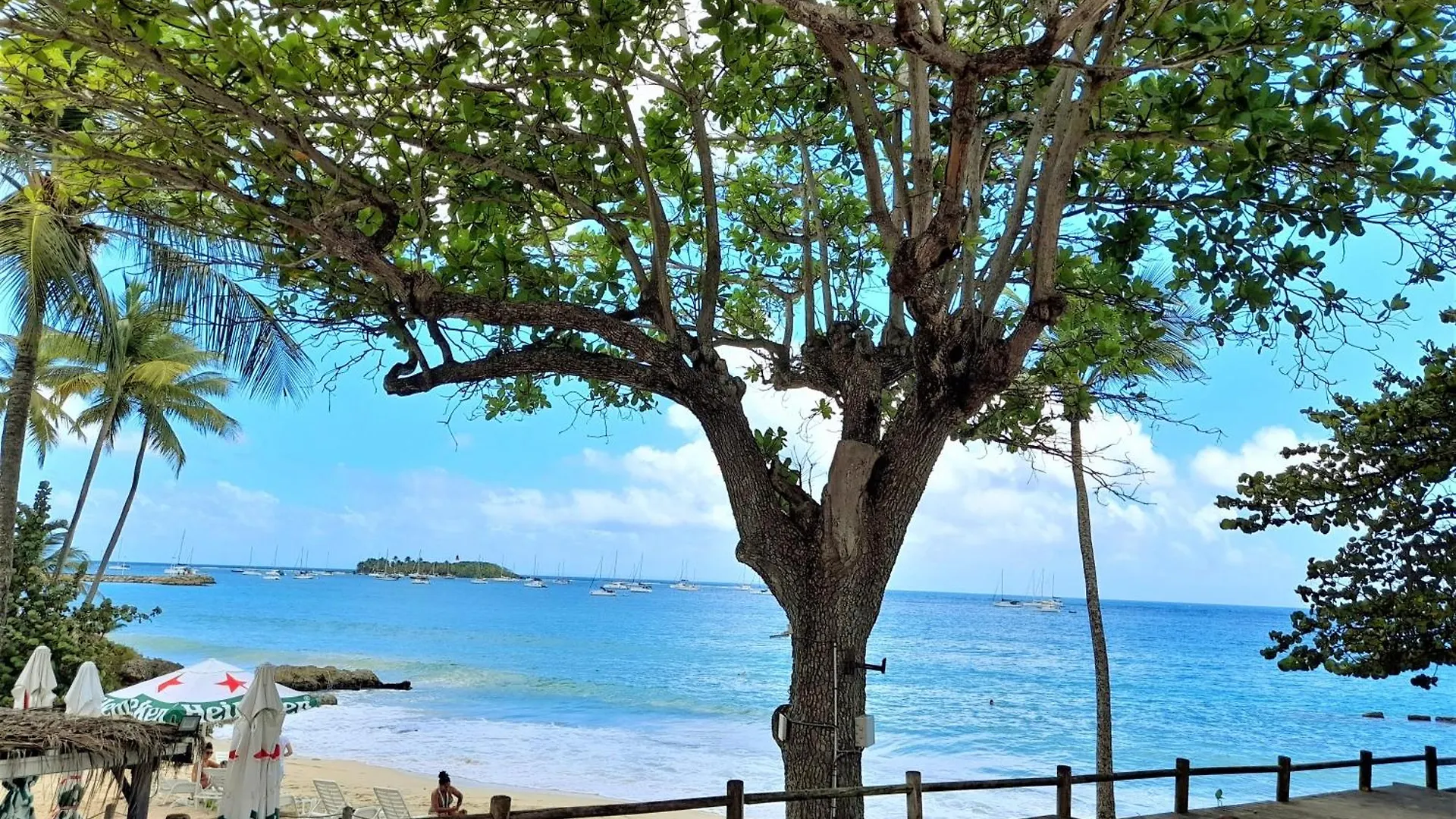 Ilet Bleu Studio Cosy Rdc Vue Mer Et Jardin - Acces Direct Plage Le Gosier  Guadeloupe
